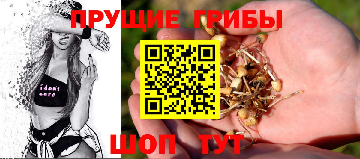 Нарткала  Псилоцибиновые грибы мицелий  Вход с VPN  Псилоцибиновые грибы GOLDEN TEACHER 